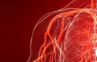 Benoni Silvestri Rinaldi - Foto 1