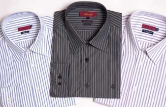 Camisaria Elegance - Foto 1