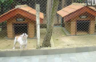 Canil Drecksler - Foto 1