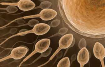 Stimulo Centro de Desenvolvimento Humano - Foto 1