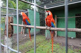 Jurema Iara Luz - Foto 1