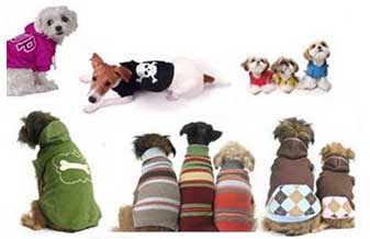 Bicho Feliz-Pet Shop - Foto 1