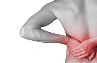 Fisioterapia-Tratamento da Dor e da Postura-Ralph R Sell - Foto 1
