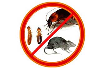 Desinsect Controle de Pragas - Foto 1