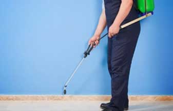 Dedetel Dedetizadora Prestadora Serviços - Foto 1