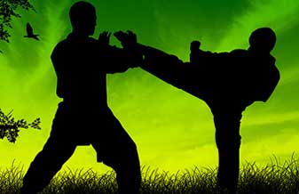 Top Martial Arts - Foto 1