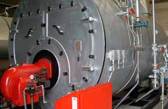 Lavanderia e Tinturaria Ta Limpo Angeloni - Foto 1