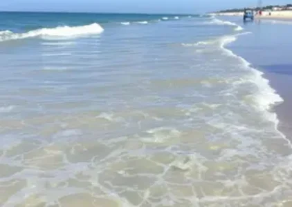 Últimas noticias de Florianópolis