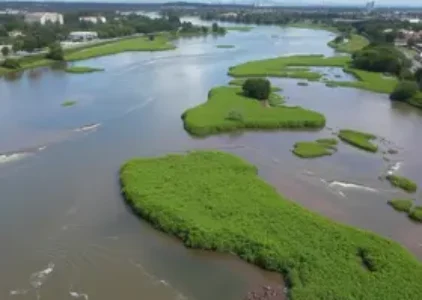 limpeza de rios